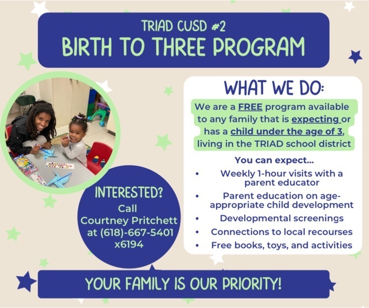 Triad CUSD #2 Birth to 3 Program